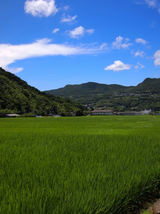 ブロンプトンで小豆島　　小豆島にホレたぜェ～♥_c0153888_12504239.jpg