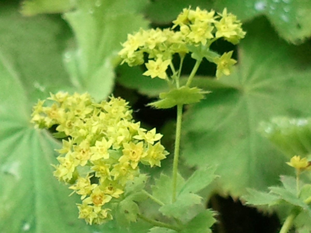 a0011690_2236336.jpg
