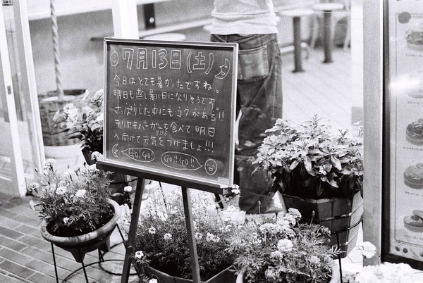 a0165599_6371068.jpg