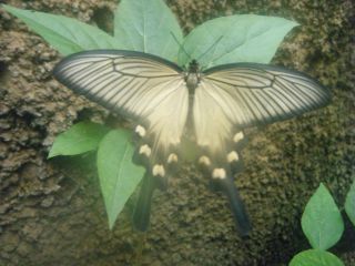 e0197302_027590.jpg