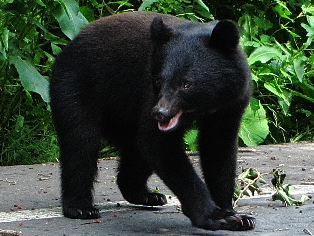 a0155104_1383225.jpg