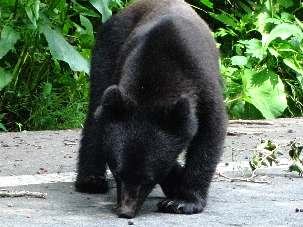 a0155104_1385955.jpg