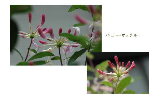 すっかりご無沙汰のブログです。_c0051105_14153571.jpg