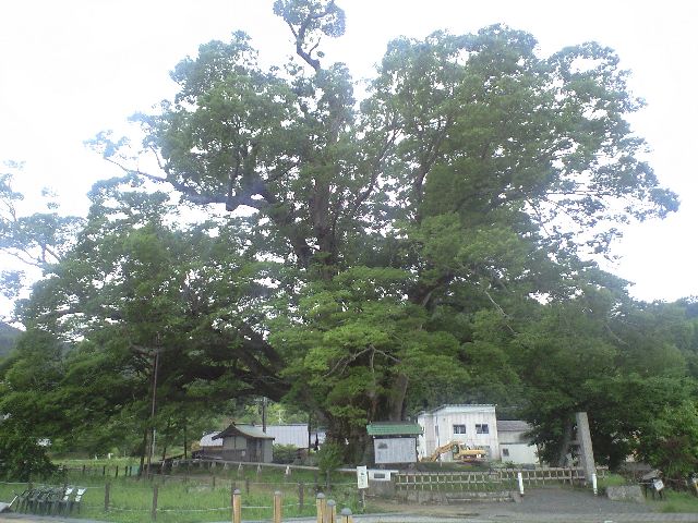 5月のアートレイク 92 と7月の亀岡カントリー 86_a0194908_2252631.jpg