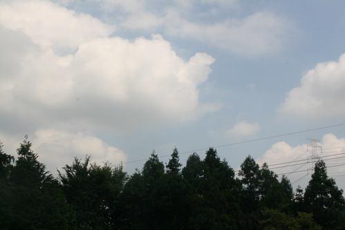 a0206808_14314588.jpg