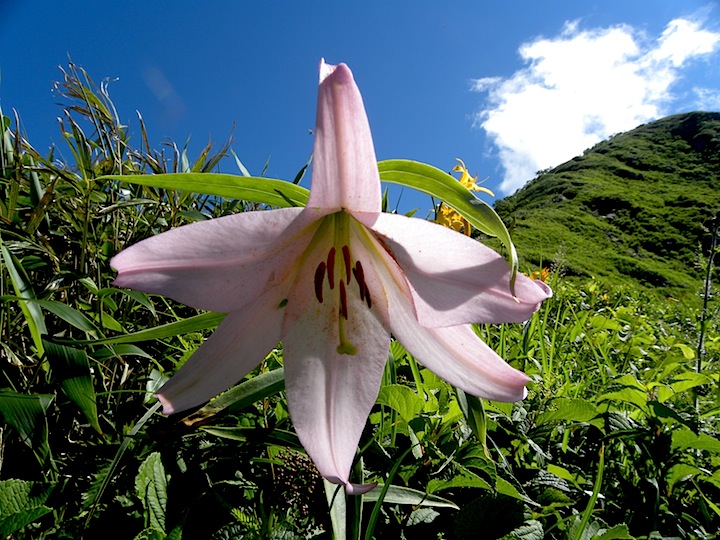 c0078410_8142063.jpg