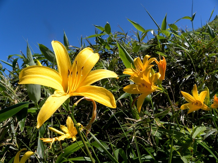 c0078410_815224.jpg