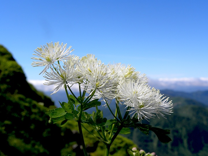 c0078410_8223020.jpg