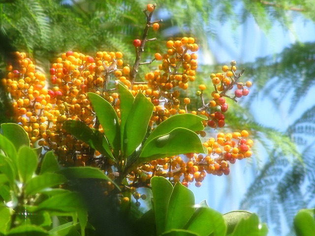 d0037110_23364981.jpg