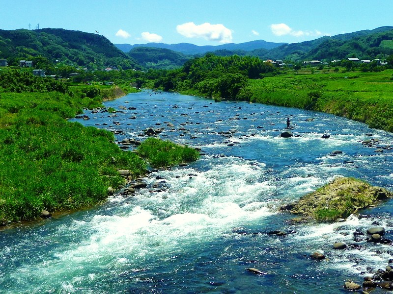 f0182513_1195220.jpg