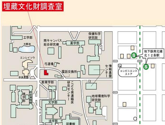 オオウバユリが大繁殖_c0025115_1924172.jpg
