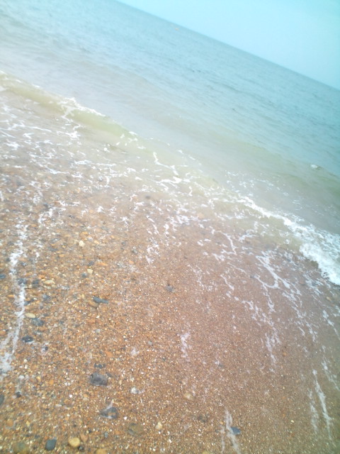 英国随一のビーチ、イギリス海峡“Brighton”の海水は綺麗だった♬ コチラ→_b0032617_14154796.jpg