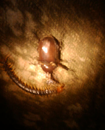 e0102618_1317959.jpg