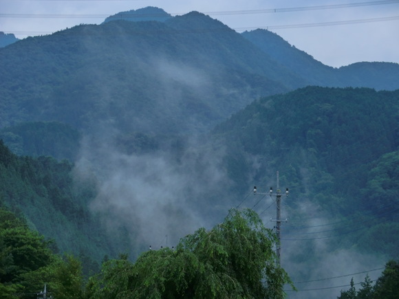 d0221319_813243.jpg