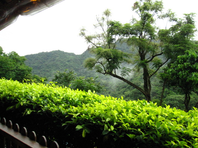 c0214628_137408.jpg