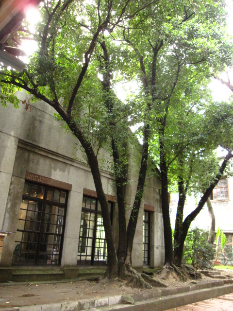 c0214628_17203893.jpg