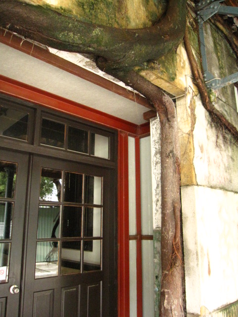 c0214628_17263380.jpg