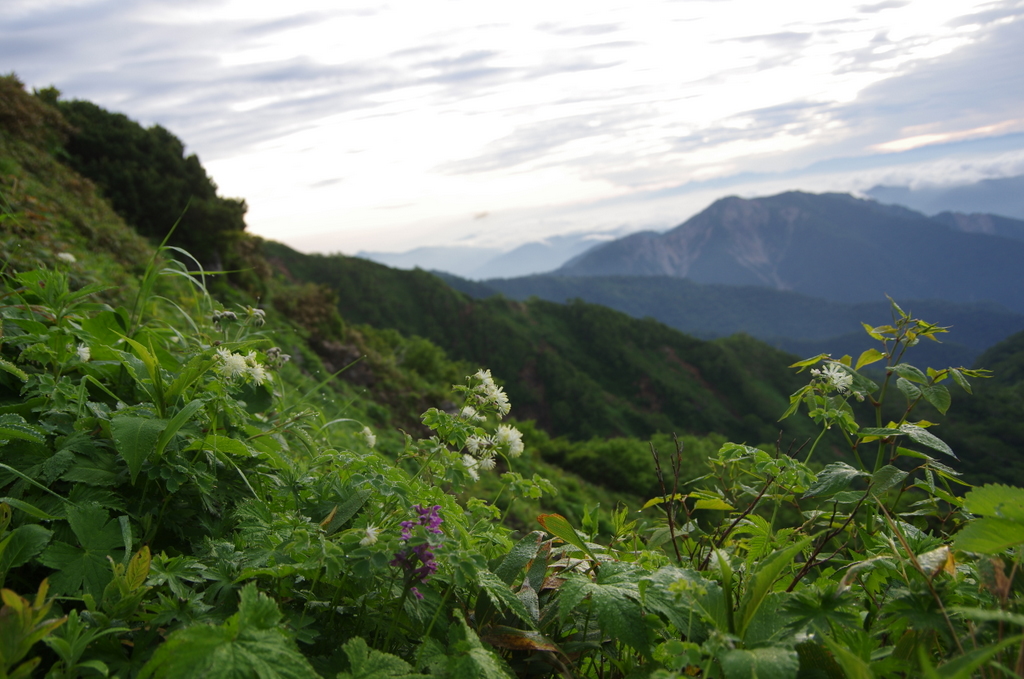 白山から北アルプスをのぞむ_b0050130_3394380.jpg