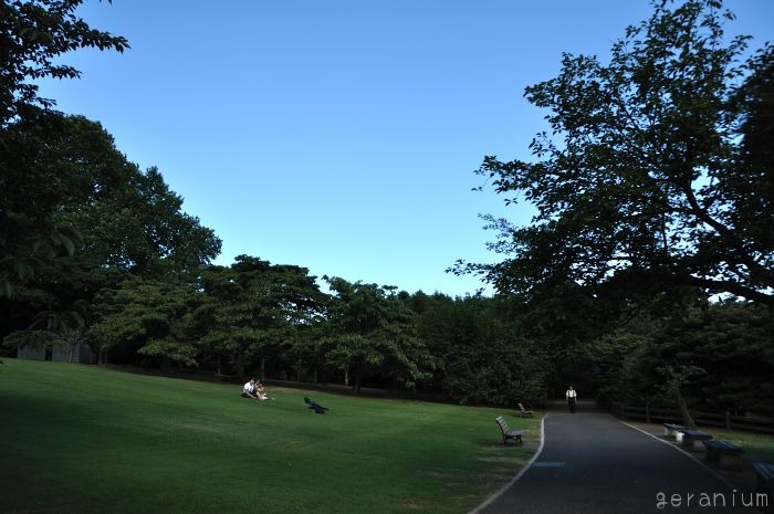 c0133533_11244528.jpg