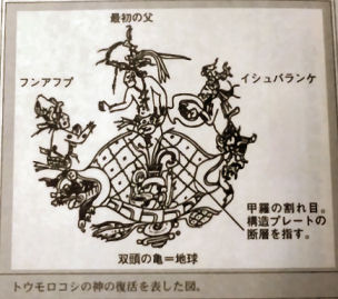 ミステリーサークルは予言的!?_b0213435_1730276.jpg