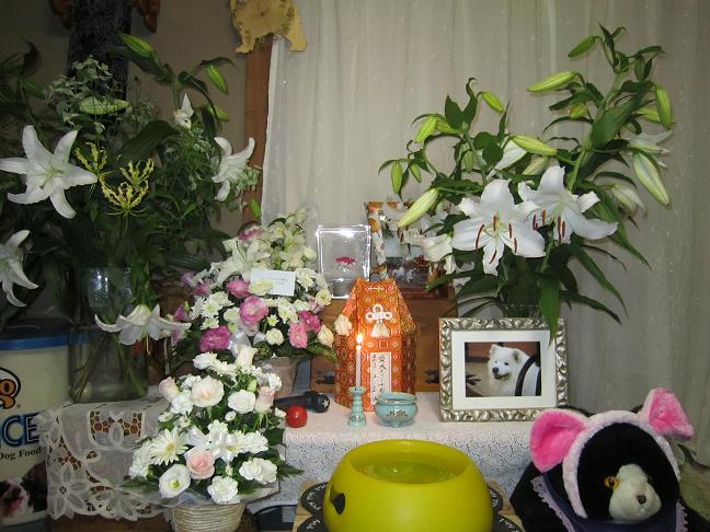 49日_b0177436_23161292.jpg