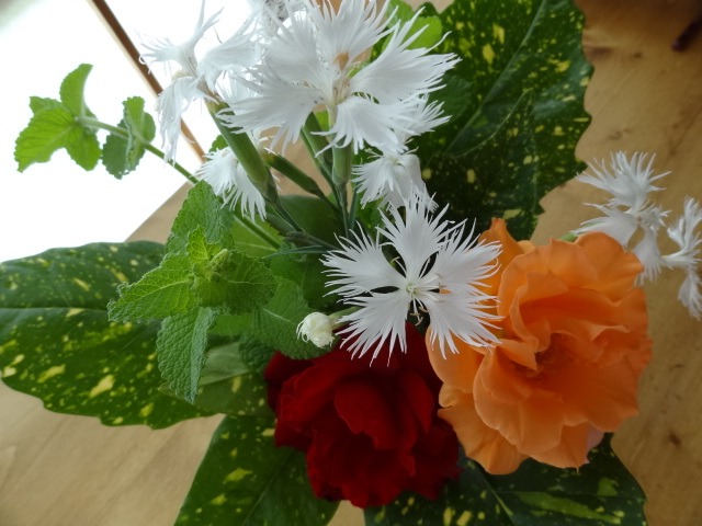 今日も・・_d0165645_21492070.jpg