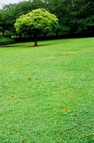 b0067346_0122583.jpg