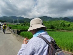 徳島堰ウォーク_f0019247_2126095.jpg
