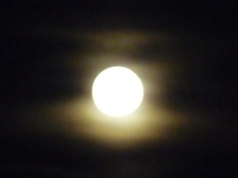 c0221349_224458.jpg