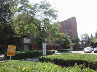 d0225149_8311621.jpg