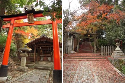 紅葉の今宮神社にて_d0049152_18315738.jpg