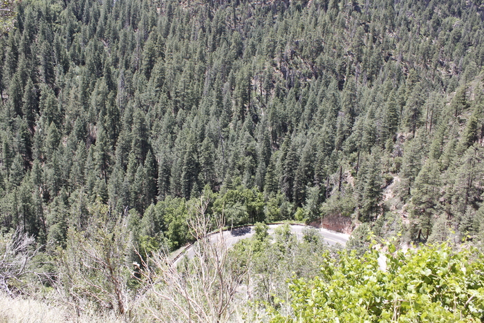 a0219557_36106.jpg