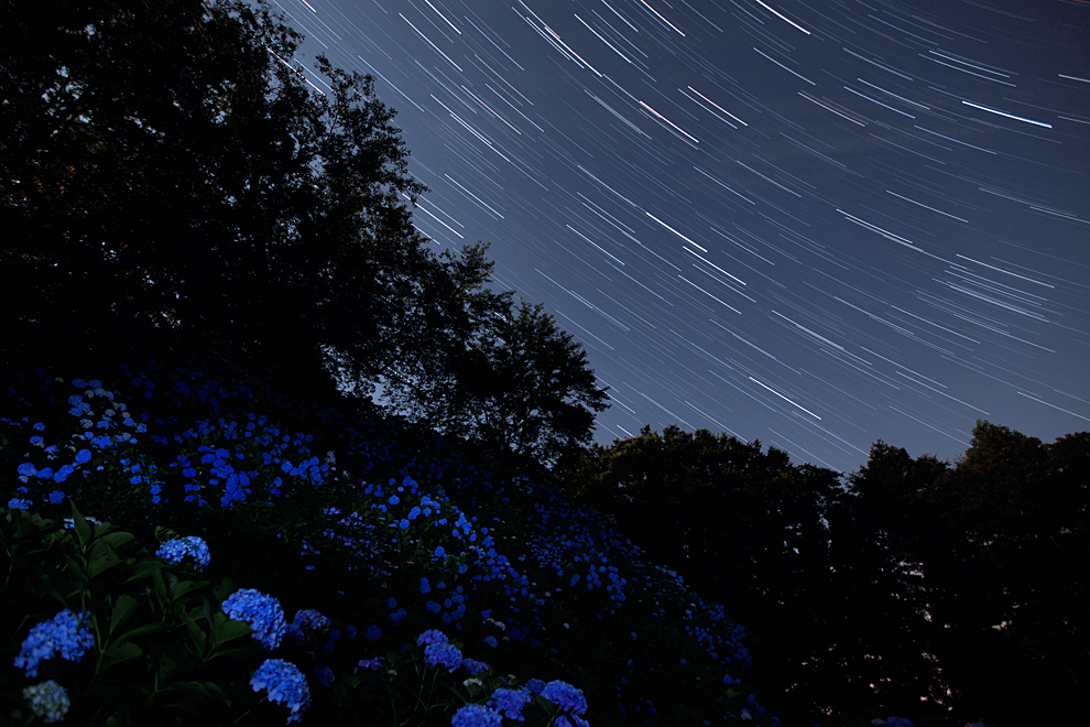 続・紫陽花の山と夏の星座_e0214470_20192748.jpg