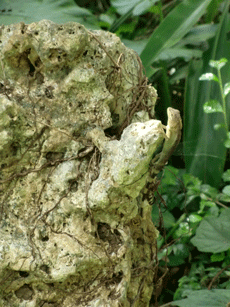 d0010774_15354144.gif