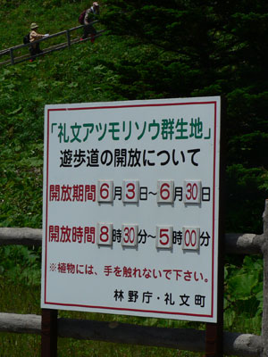 f0083977_7124323.jpg