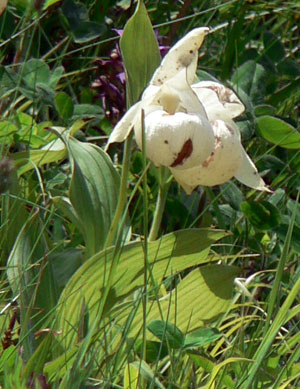 f0083977_713461.jpg