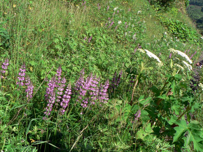 f0083977_7144098.jpg