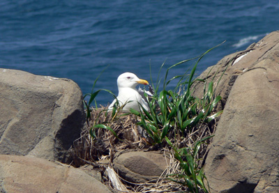 f0083977_7165119.jpg