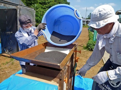 ナタネの選別作業（唐箕掛け）　2011.7.14（木）_c0145581_8294032.jpg