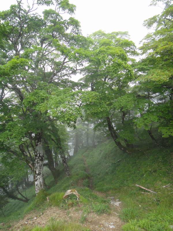 大峰奥駆 One Day Try_b0220886_1641964.jpg