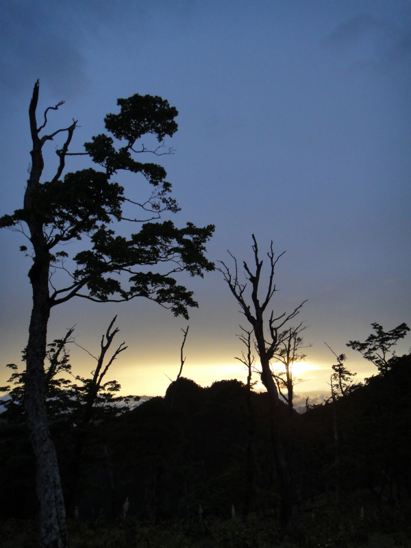大峰奥駆 One Day Try_b0220886_20202214.jpg