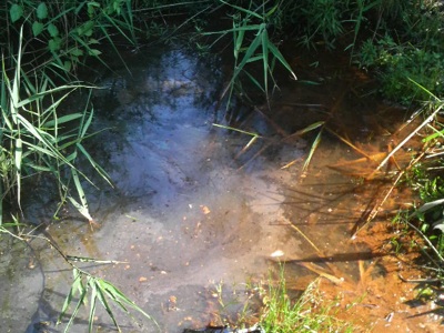 f0082402_19541237.jpg