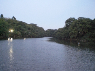 d0131207_2215280.jpg