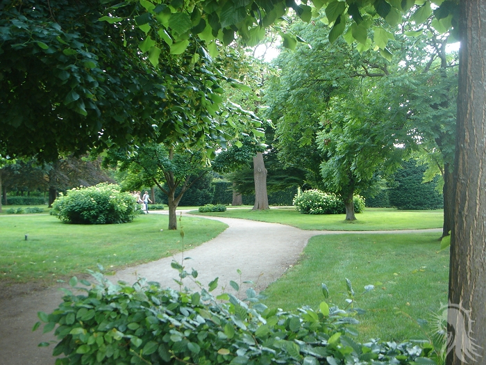 e0045908_54755100.jpg