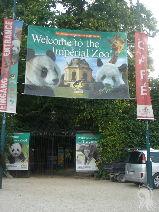 e0045908_5501860.jpg