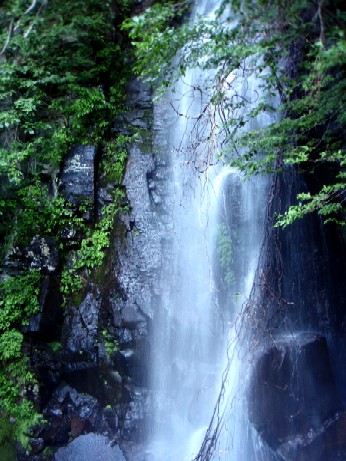 f0043911_16294167.jpg