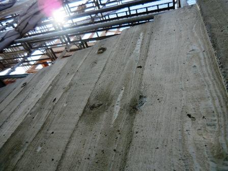 e0149215_024998.jpg
