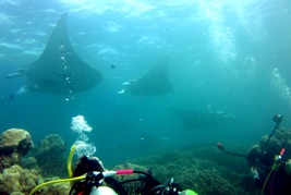 満月の日の海_a0043520_22505630.jpg