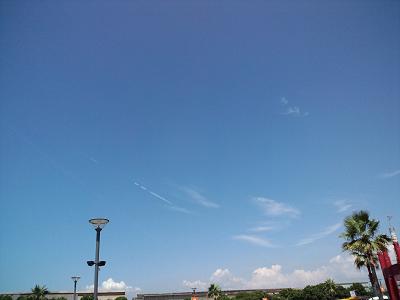 c0208725_1736264.jpg