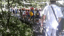 f0161535_02277.jpg